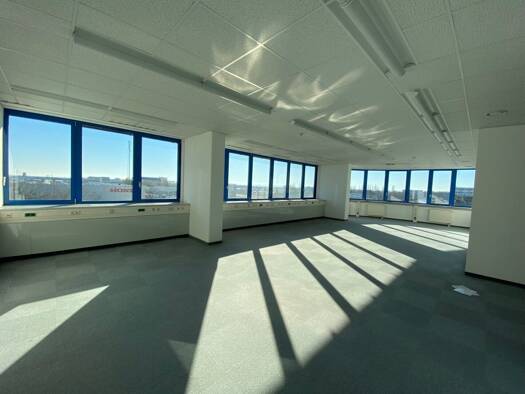 Büro zur Miete provisionsfrei 9,50 € 5 Zimmer 243,9 m² Bürofläche Wiener Neudorf 2351