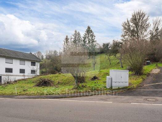 Grundstück zum Kauf 107.500 € 3.236 m² Grundstück Holzmülheim Nettersheim / Holzmülheim 53947