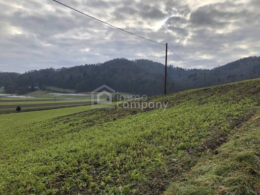 Grundstück zum Kauf 11.154 m² Grundstück Jennersdorf 8380