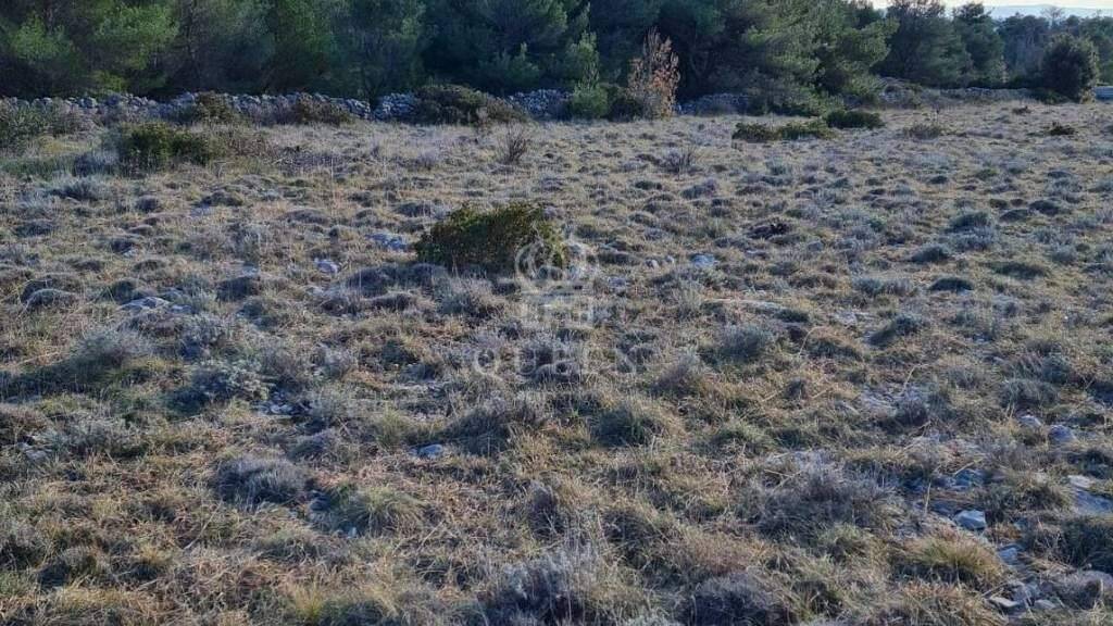 Land-/Forstwirtschaft zum Kauf 6.950 € Vir