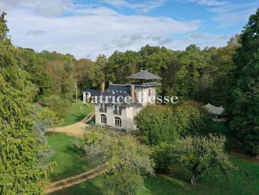 Herrenhaus zum Kauf 595.000 € 7 Zimmer 313 m² 14.885 m² Grundstück Saint-Sauveur-en-Puisaye 89520