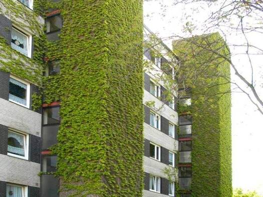 Wohnung zur Miete 729 € 4,5 Zimmer 87,2 m² 1. Geschoss frei ab 04.02.2026 Bonmannshof 3 Neumühl Duisburg 47167