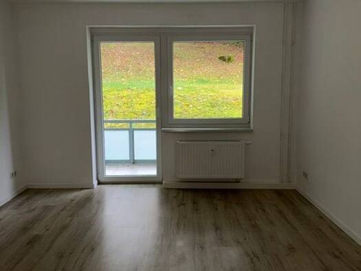Wohnung zur Miete 390 € 3 Zimmer 62 m² EG frei ab sofort Am Trützschler 32 Glauchau Glauchau 08371
