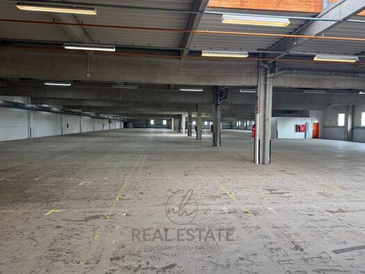 Lagerhalle zur Miete 5.800 m² Lagerfläche Bad Oldesloe 23843