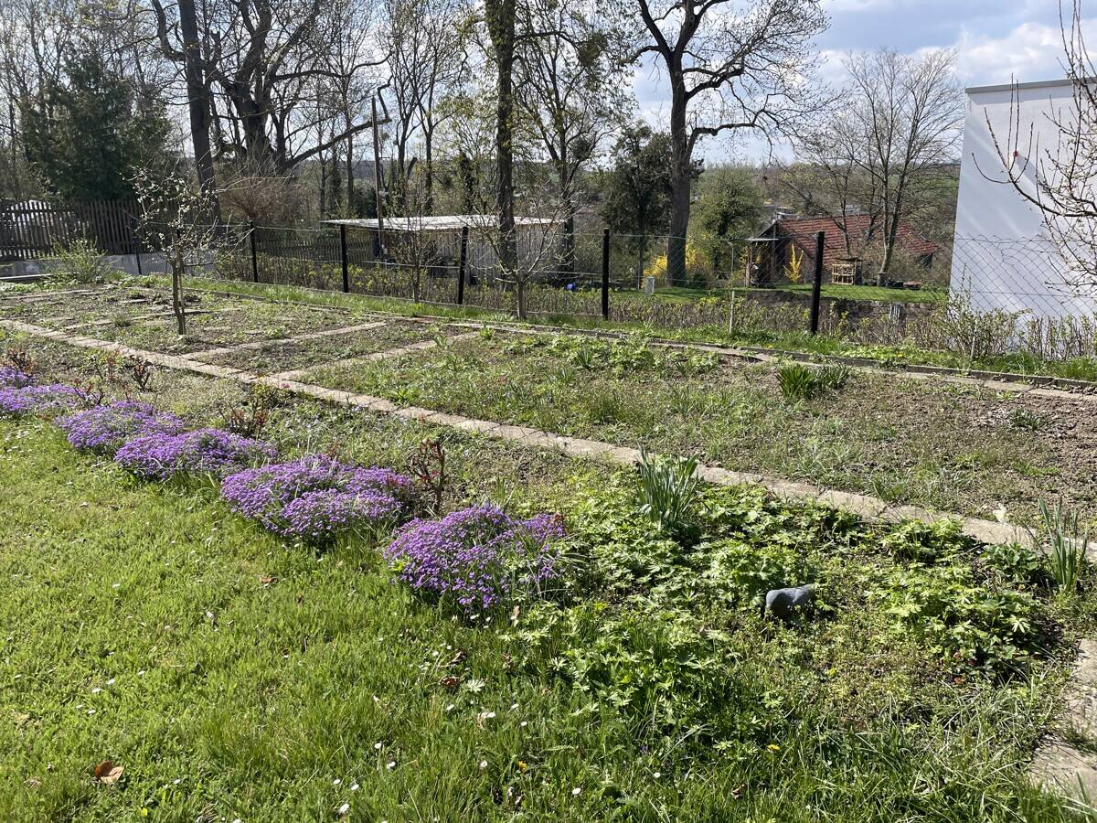 Immobilie in Naumburg (Saale) - Villa Bürgergarten mit Blick über die Stadt - Bild 3