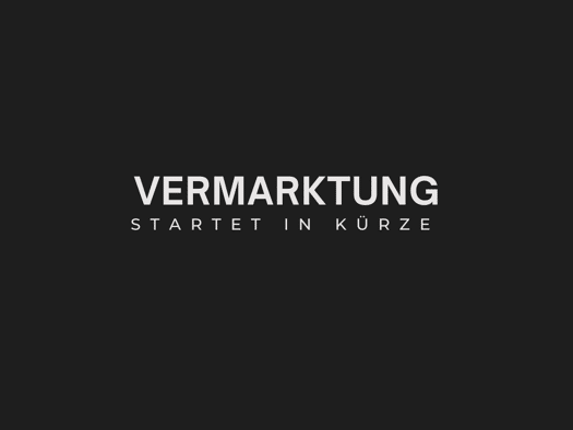 Einfamilienhaus zum Kauf 90.000 € 8 Zimmer 145 m² 1.110 m² Grundstück Elsterstraße 6 Caaschwitz 07586