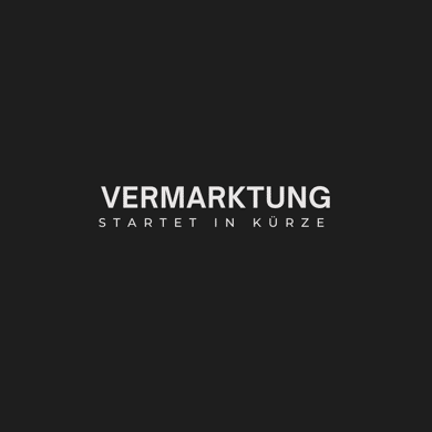 Einfamilienhaus zum Kauf 90.000 € 8 Zimmer 145 m² 1.110 m² Grundstück Elsterstraße 6 Caaschwitz 07586