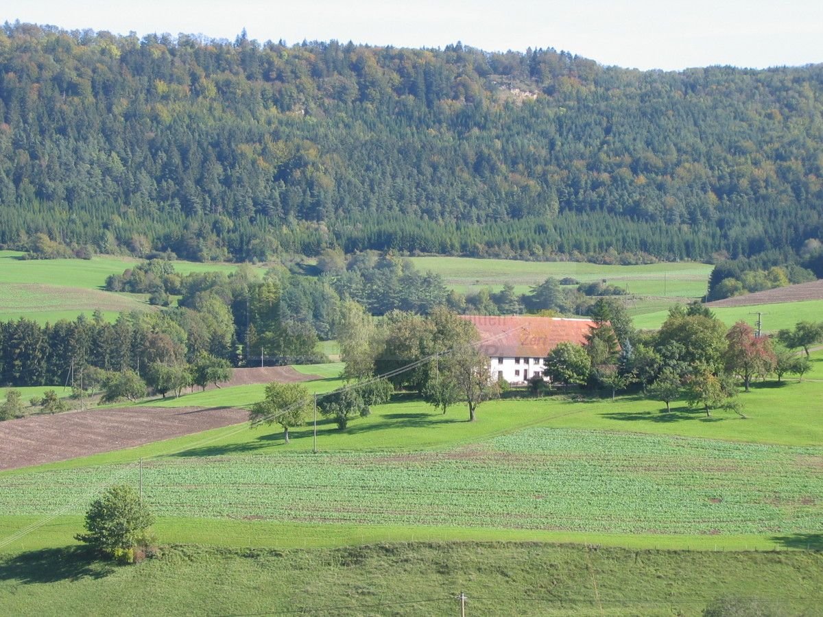 Bauernhaus zum Kauf 995.000 € 262 m²<br/>Wohnfläche 20.425 m²<br/>Grundstück Nordhalden Blumberg / Fützen 78176