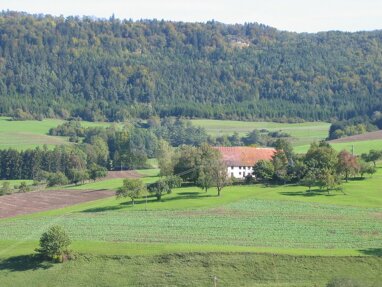 Bauernhaus zum Kauf 995.000 € 262 m² 20.425 m² Grundstück Nordhalden Blumberg / Fützen 78176