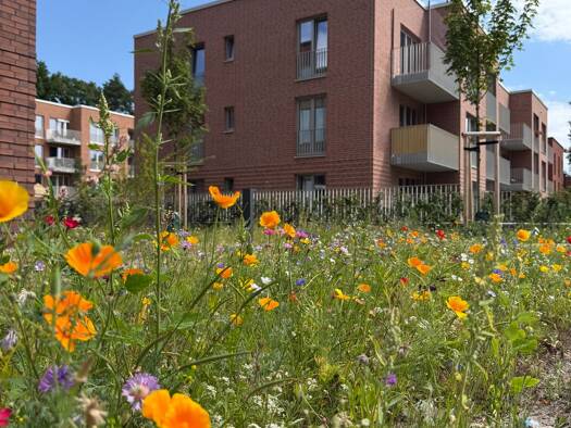 Wohnung zur Miete - Erstbezug nur mit Wohnberechtigungsschein 322 € 2 Zimmer 44,5 m² 2. Geschoss frei ab 01.03.2027 Frieda-Reimann-Straße 4 Rissen Hamburg 22559