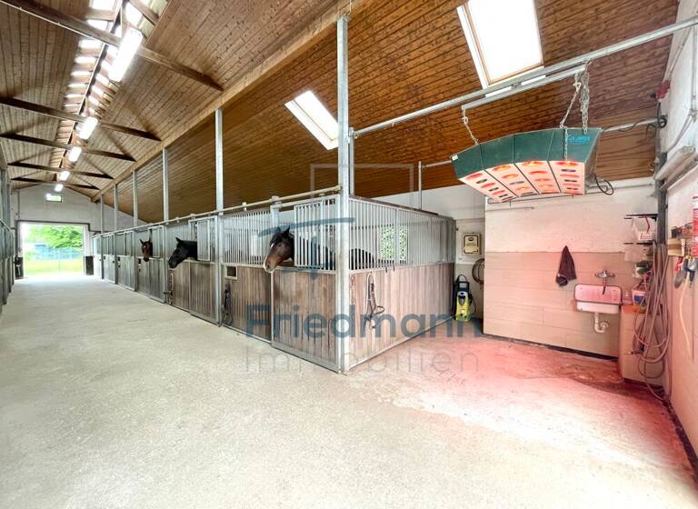 Haus zum Kauf 1.350.000 € 5 Zimmer 256 m²<br/>Wohnfläche 8.526 m²<br/>Grundstück Niederweis Niederweis 54668
