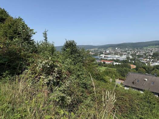 Grundstück zum Kauf 140.000 € 805 m² Grundstück Erbach Erbach 64711
