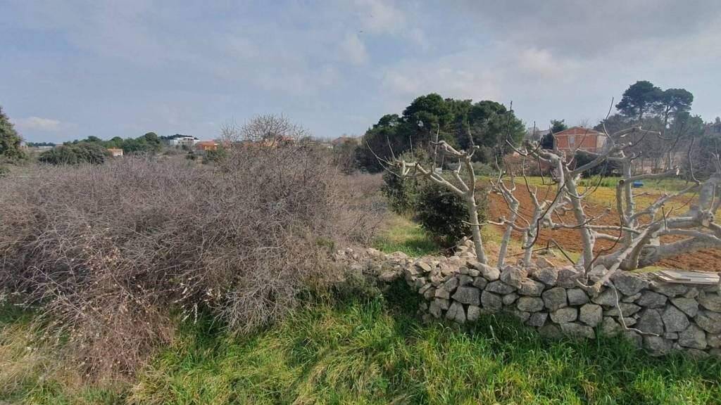 Land-/Forstwirtschaft zum Kauf 42.660 € Vir