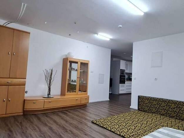 Studio zum Kauf 850.000 € 7 Zimmer 247 m² Brötzingen Pforzheim 75172