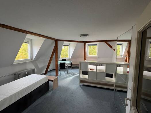 Studio zur Miete 690 € 1 Zimmer 36 m² Geschoss 3/3 frei ab sofort Altstadt Konstanz 78462