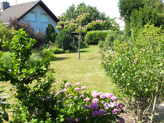 Doppelhaushälfte zum Kauf 795.000 € 7 Zimmer 214 m² 646 m² Grundstück Hohensachsen Weinheim OT 69469