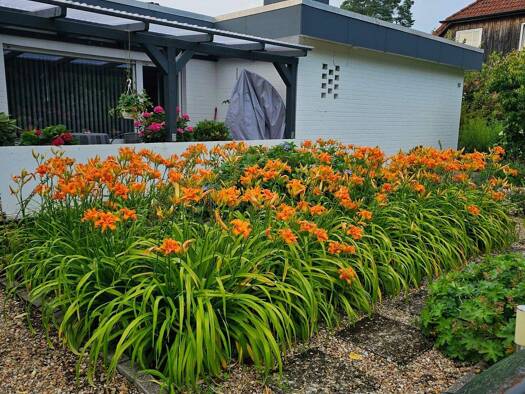 Bungalow zum Kauf 220.000 € 4 Zimmer 102 m² 755 m² Grundstück Zernien 29499