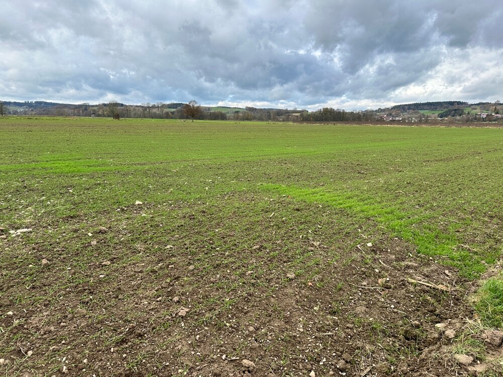 Land-/Forstwirtschaft zum Kauf 240.000 € 17.213 m²<br/>Grundstück Schwaibach Bad Birnbach / Schwaibach 84364