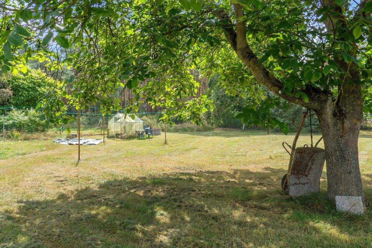 Immobilie in Aland - Provisionsfrei - Gepflegtes Einfamilienhaus auf großzügigem Grundstück mit Terrasse, Balkon und Pool - Bild 1