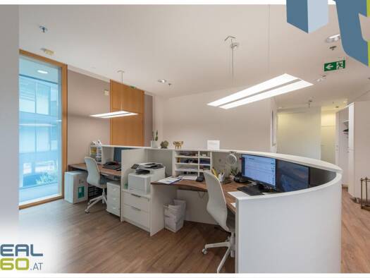 Bürofläche zur Miete 3.078 € 7 Zimmer 228 m² Bürofläche Untere Donaulände Lustenau Linz 4020