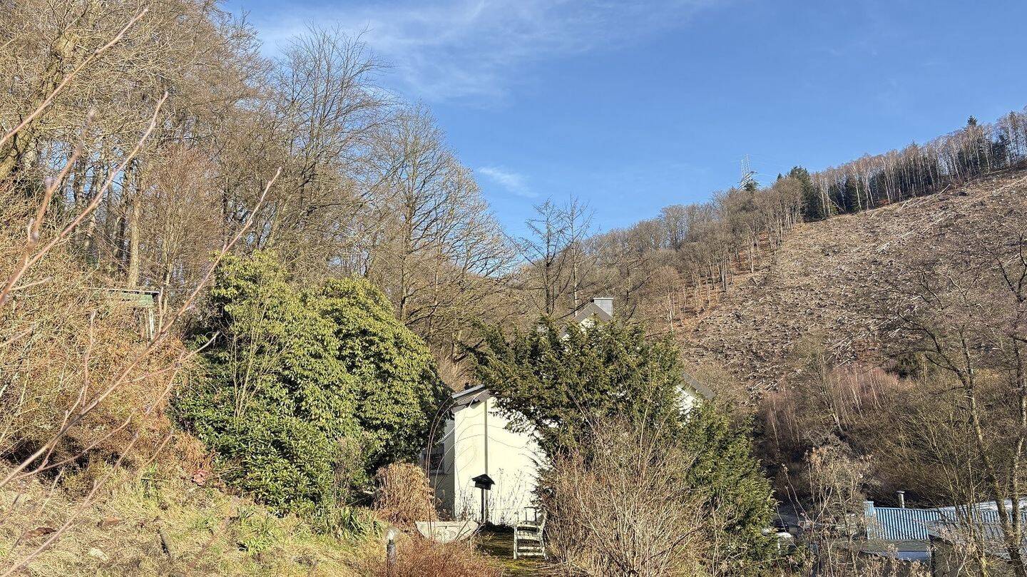 Immobilie in Altena - Viel Wohnfläche auf großem Grundstück inklusive Außenschwimmbecken! - Bild 2