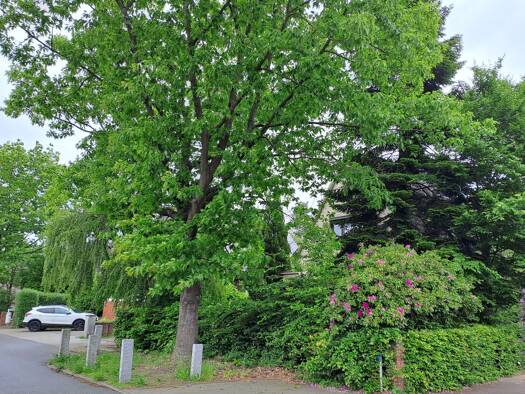 Grundstück zum Kauf provisionsfrei 520.000 € 1.147 m² Grundstück Grüne Twiete 93 Halstenbek 25469