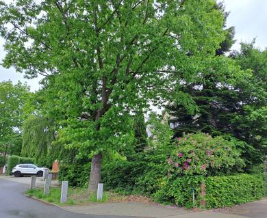 Grundstück zum Kauf provisionsfrei 520.000 € 1.147 m² Grundstück Grüne Twiete 93 Halstenbek 25469