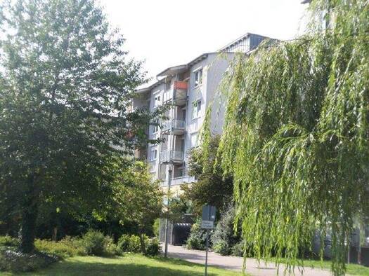 Wohnung zur Miete 270 € 1 Zimmer 30 m² 2. Geschoss frei ab sofort Am Rebstock 2 Großkugel Kabelsketal 06184