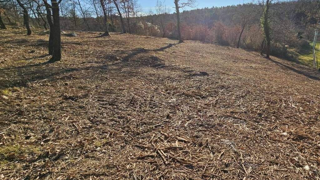 Land-/Forstwirtschaft zum Kauf 110.000 € Buje