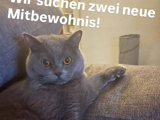 Wohnung zur Miete 216 € 4 Zimmer 19 m² Geschoss 2/5 frei ab 01.03.2026 Nord Hildesheim 31137