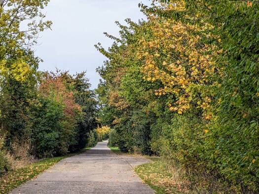 Sonstiges zum Kauf 168.000 € 797 m² Grundstück Wohlenhagen Hohenkirchen 23948