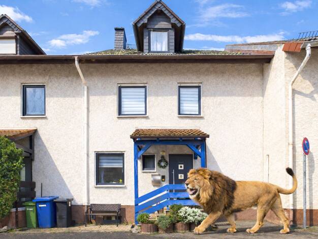 Reihenmittelhaus zum Kauf 495.000 € 5 Zimmer 90 m² 115 m² Grundstück Seeheim 64342