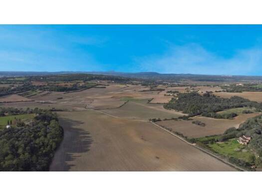 Acker-/Waldstück zum Kauf 1.200.000 € Manacor 07500