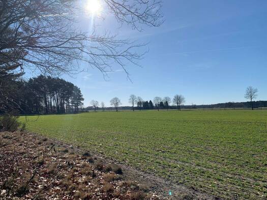 Grundstück zum Kauf 110.000 € 4.400 m² Grundstück frei ab sofort Thören Winsen (Aller) 29308