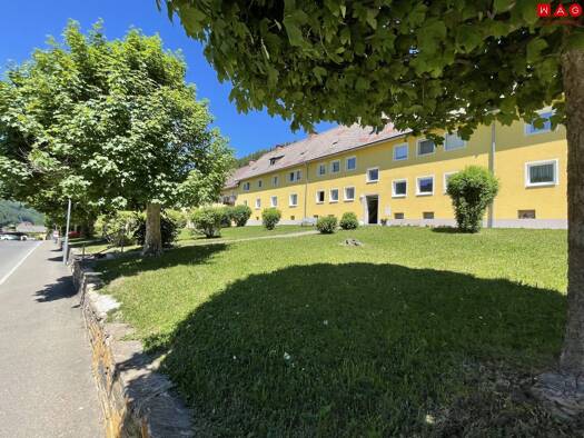 Wohnung zur Miete 245 € 3 Zimmer 53,2 m² Hans-von-der-Sann-Straße 27 Eisenerz 8790