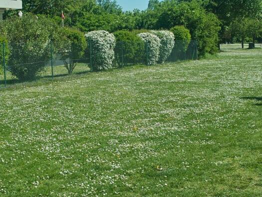 Grundstück zum Kauf 135.000 € 620 m² Grundstück Trasdorf 3452