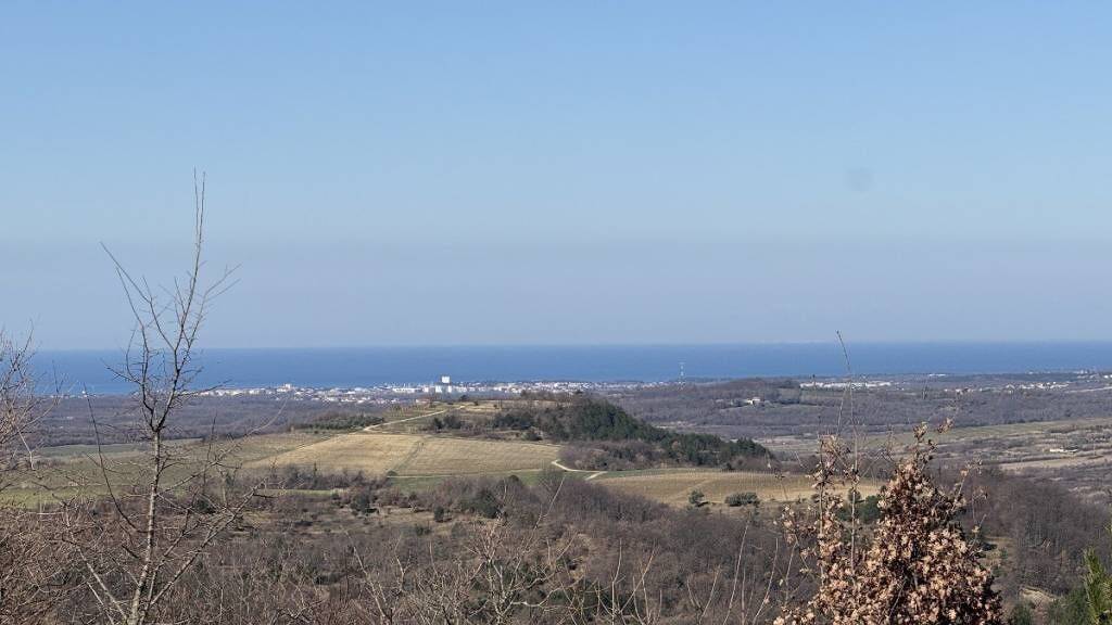Land-/Forstwirtschaft zum Kauf 300.000 € Buje