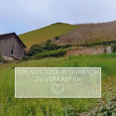 Grundstück zum Kauf 240.000 € 500 m² Grundstück Durbach Durbach 77770