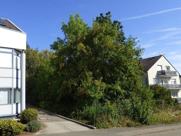 Grundstück zum Kauf 125.000 € 721 m² Grundstück Innenstadt Pirmasens 66953