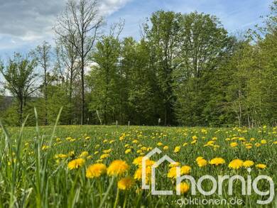 Land-/Forstwirtschaft zum Kauf 5.999 € 12.843 m² Grundstück Weesenstein Müglitztal 01809