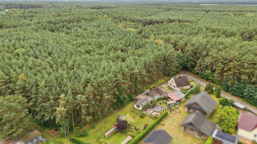 Immobilie in Storkow (Mark) - Einfamilienhaus am Waldrand mit Baureserve und zwei Zufahrten - Bild 0
