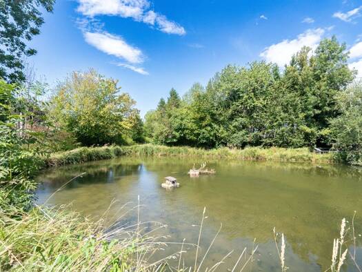 Freizeitgrundstück zum Kauf 89.000 € 1.200 m² Grundstück Neuhofen an der Krems 4501