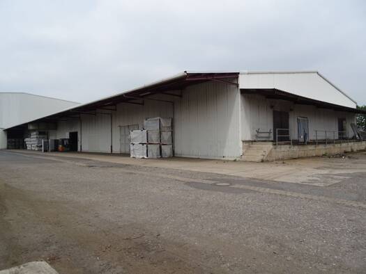 Lagerhalle zur Miete provisionsfrei 5 € 2.000 m² Lagerfläche Hafen Düsseldorf 40221