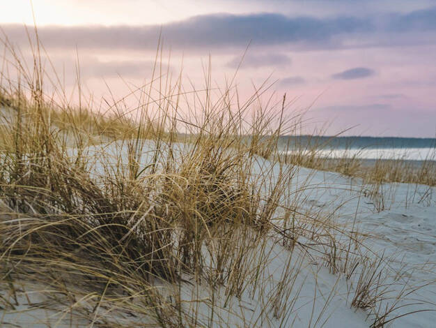 Wohnung zum Kauf - Erstbezug 909.000 € 3 Zimmer 82,4 m² Timmendorfer Strand 23669