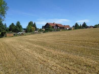 Grundstück zum Kauf provisionsfrei 104.000 € 1.090 m² Grundstück Hoher Weg Theuma 08541