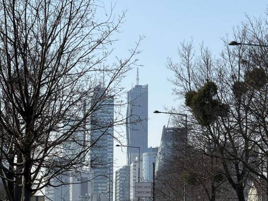 Wohnung zum Kauf 420.000 € 3 Zimmer 76,7 m² EG Wien 1220