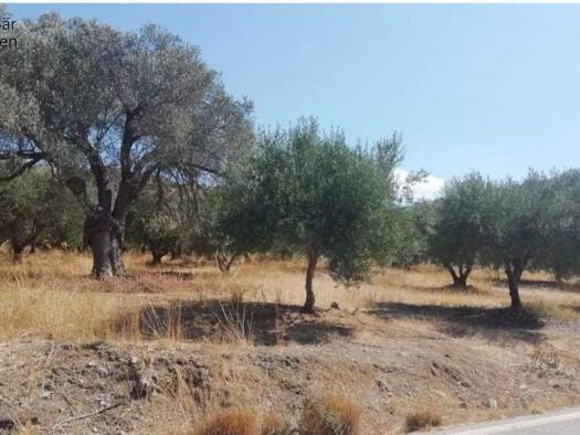 Grundstück zum Kauf 100.000 € 4.106 m² Grundstück * * Municipality of Festos 704 00