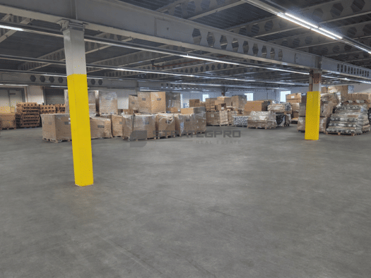 Lagerhalle zur Miete 3.000 m² Lagerfläche teilbar ab 1.500 m² Frankenthal Frankenthal (Pfalz) 67227