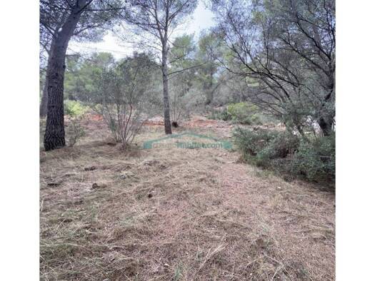 Acker-/Waldstück zum Kauf 50.000 € Polígono Cuarenta y Ocho 92 Serra 46118