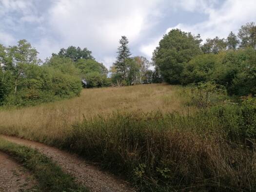 Grundstück zum Kauf provisionsfrei 78.000 € 4.362 m² Grundstück frei ab sofort Wilhermsdorf Wilhermsdorf 91452